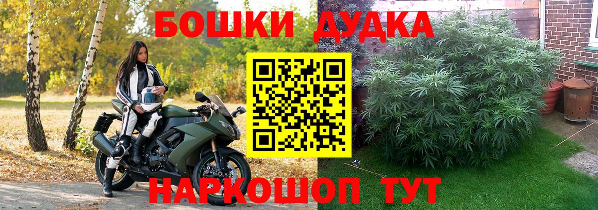 Канабис Bruce Banner  Вход с VPN  Урус-Мартан  Конопля конопля 